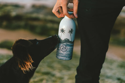 Clima Bottle 500ml - Palm Grove