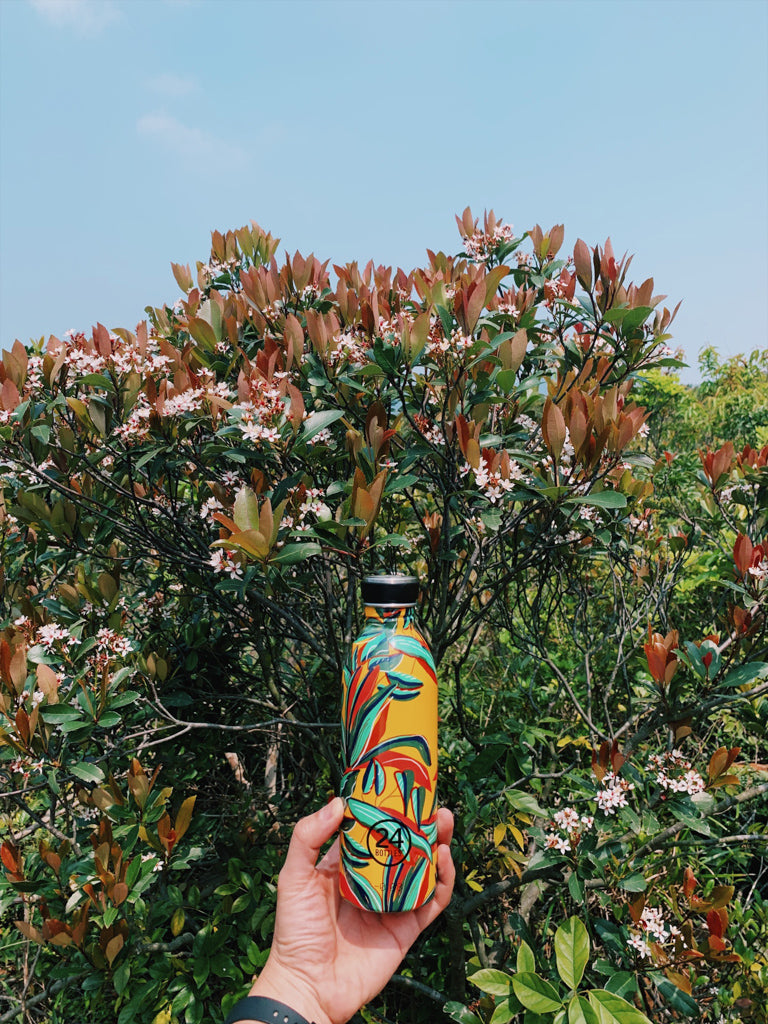 24bottles urban bottles 500ml savage