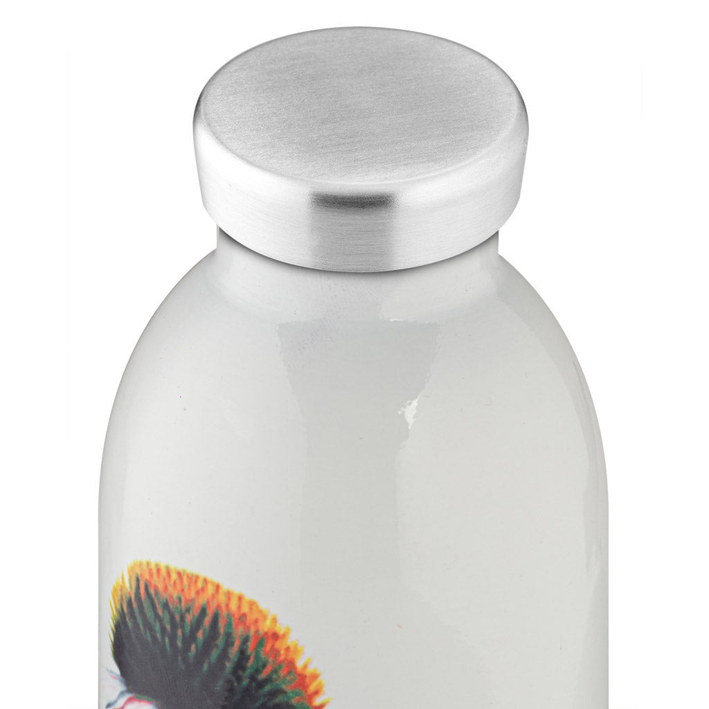 Clima Bottle 500ml - Lovesong
